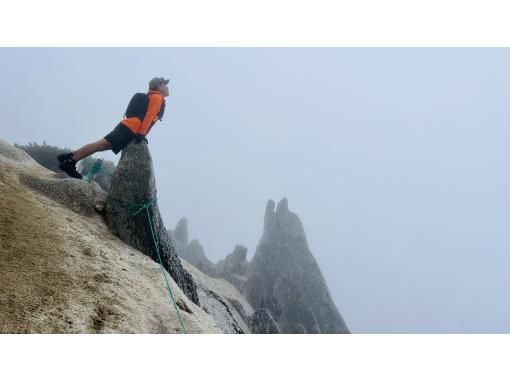 Field Only のギャラリー