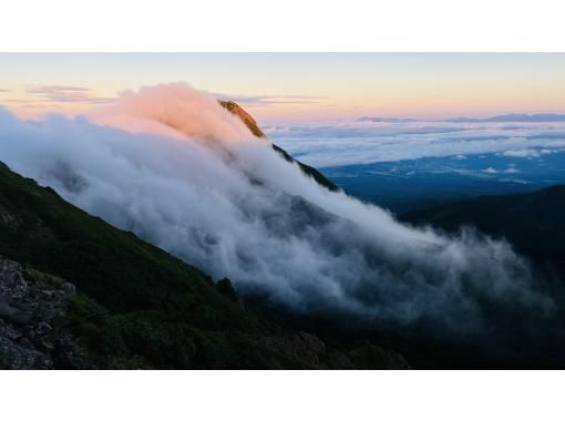 Field Only のギャラリー