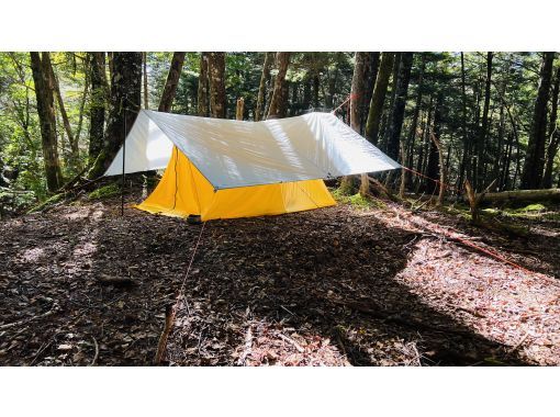 Field Only のギャラリー