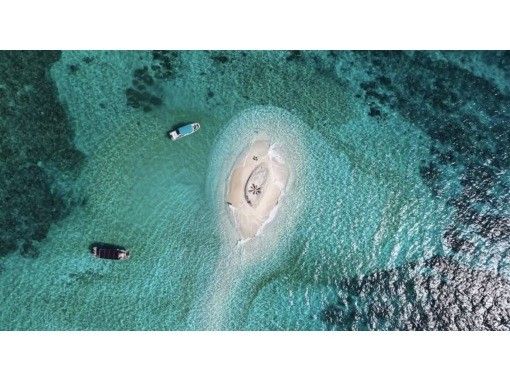石垣島あいくるシーサー のギャラリー