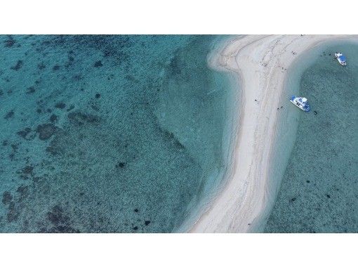石垣島あいくるシーサー のギャラリー
