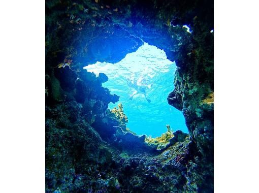 石垣島あいくるシーサー のギャラリー