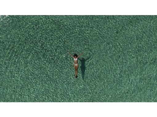 石垣島あいくるシーサー のギャラリー