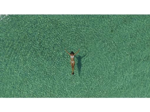 石垣島あいくるシーサー のギャラリー