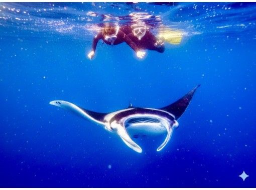 石垣島あいくるシーサー のギャラリー