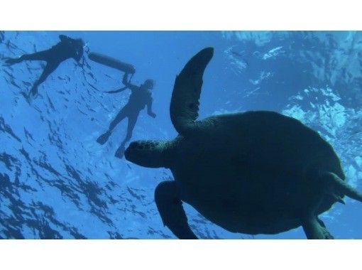 GoGo Tour のギャラリー