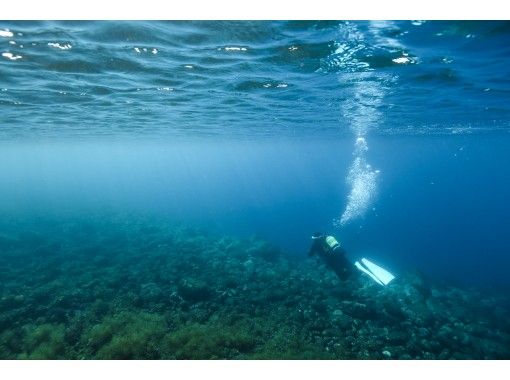 井田ダイビングセンター(Ita Diving Center) のギャラリー