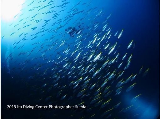 井田ダイビングセンター Ita Diving Center の予約 アクセス 営業時間 アクティビティジャパン