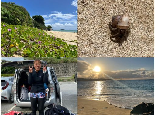 スキューバプロショップ沖縄 のギャラリー