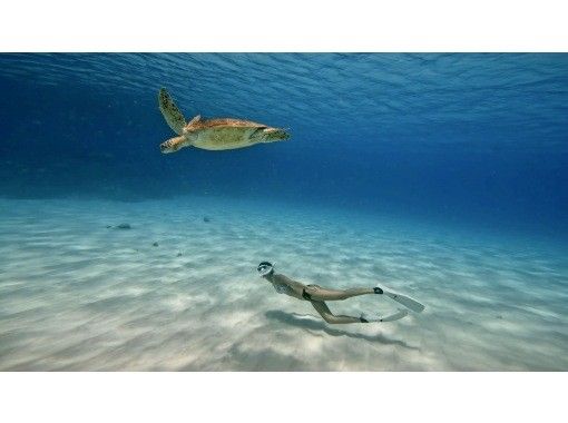 Sunny Smile Ishigaki のギャラリー