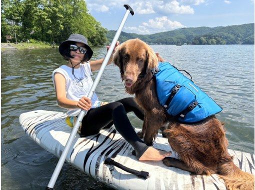 Rad Sheep Outdoors のギャラリー