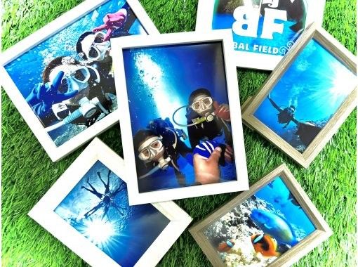 Bal field（バルフィールド） のギャラリー