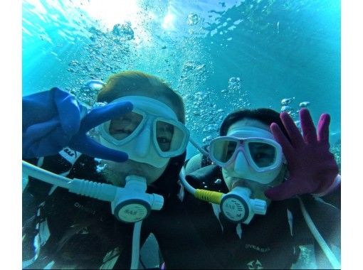 Bal field（バルフィールド） のギャラリー