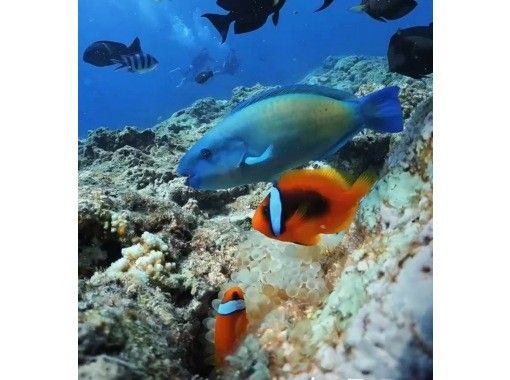 Bal field（バルフィールド） のギャラリー