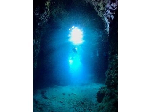 Bal field（バルフィールド） のギャラリー