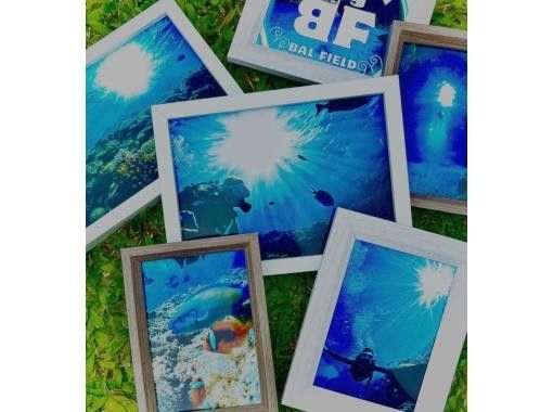 Bal field（バルフィールド） のギャラリー