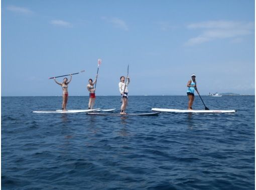 パドル葉山(Paddle Hayama) のギャラリー