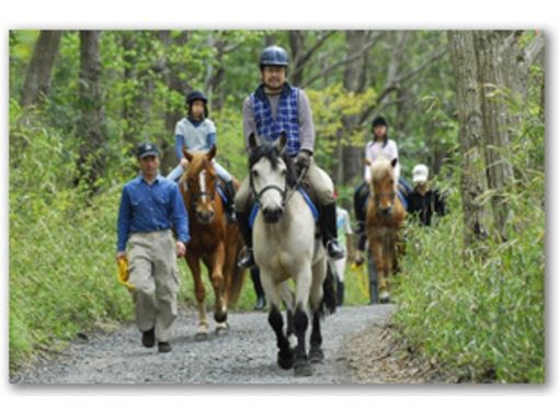 ライディングクラブウインズ horse riding club winds のプラン一覧