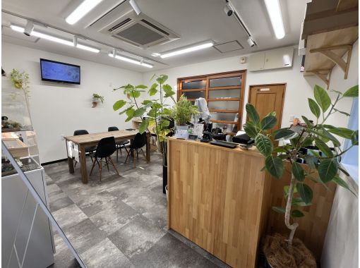 Silver Accessories REVE のギャラリー