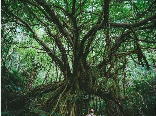 癒屋 のギャラリー