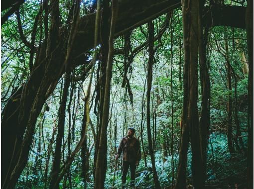 癒屋 のギャラリー