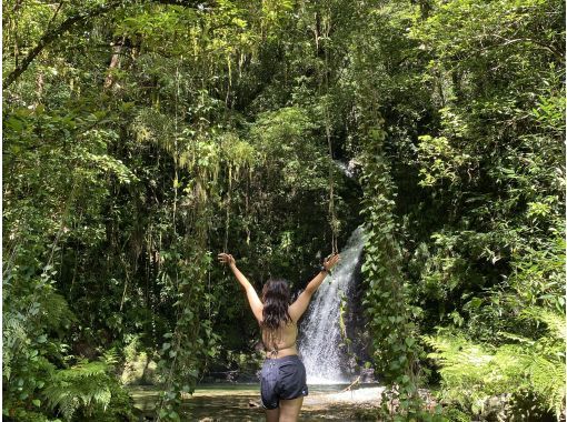 癒屋 のギャラリー