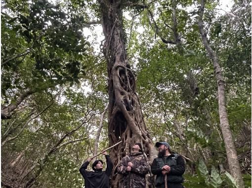 癒屋 のギャラリー