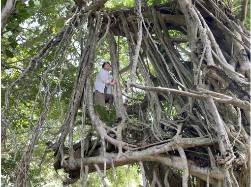 癒屋 のギャラリー