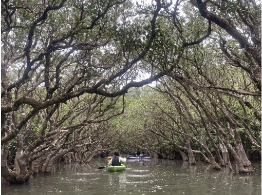 癒屋 のギャラリー