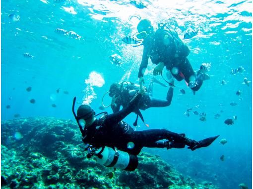 沖縄青の洞窟のカイラ のギャラリー