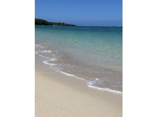 sea sup haue(ハウイ） のギャラリー