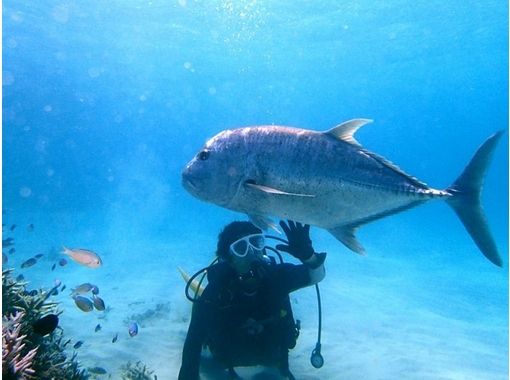 レインボーリーフ (Rainbow Reef)の予約・アクセス・営業時間