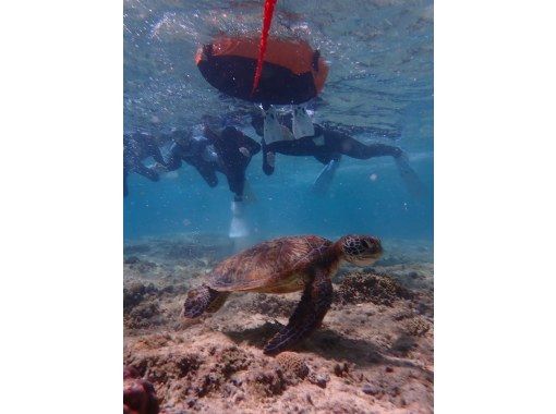 ピリアロハダイビングサービス のギャラリー