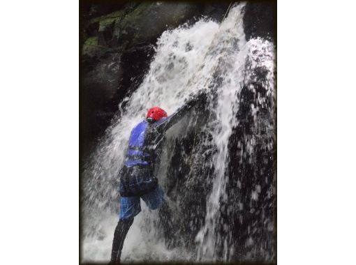 火之国屋 のギャラリー