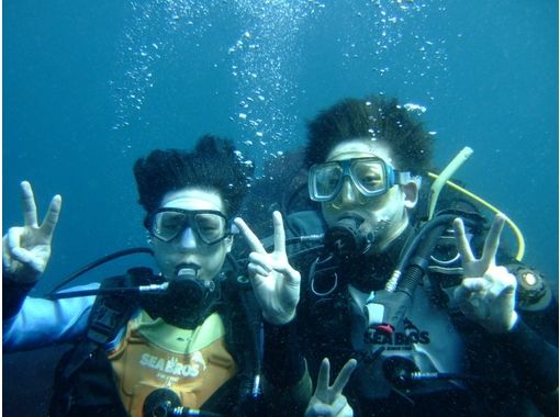伊豆大島ダイビングセンターカラーズ Colors Diving Center の予約 アクセス 営業時間 アクティビティジャパン 伊豆大島ダイビングセンターカラーズ Colors Diving Center の予約 アクセス 営業時間 アクティビティジャパン