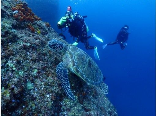 Step海ダイバーズ・スクール宮古島の割引プラン