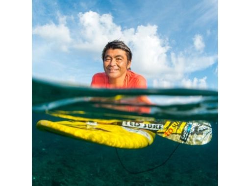 TED SURF SHOPの予約・アクセス・営業時間 | アクティビティジャパン