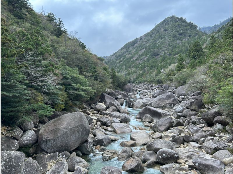 Yamakara屋久島 のギャラリー