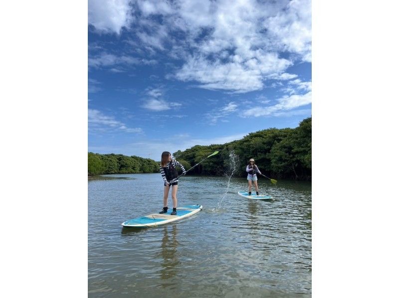 石垣島  ADVENTURE PiPi（ピピ） のギャラリー