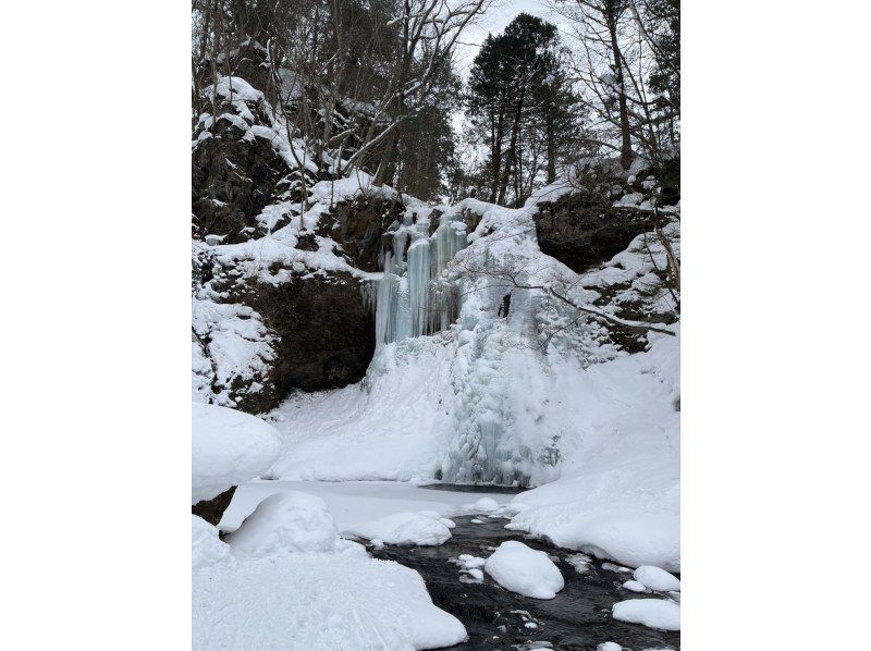 Nikko Jumbo のギャラリー