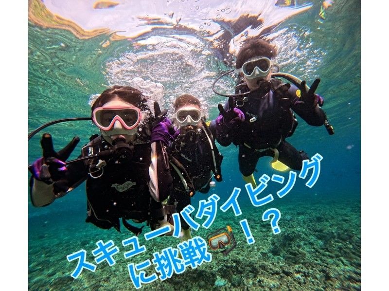 ダイビングショップめんそーれ(Okinawa diving mensore) のギャラリー