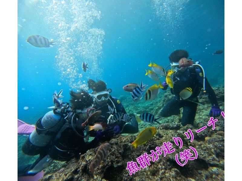 ダイビングショップめんそーれ(Okinawa diving mensore) のギャラリー