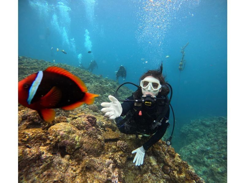 Diving Shop Lei のギャラリー