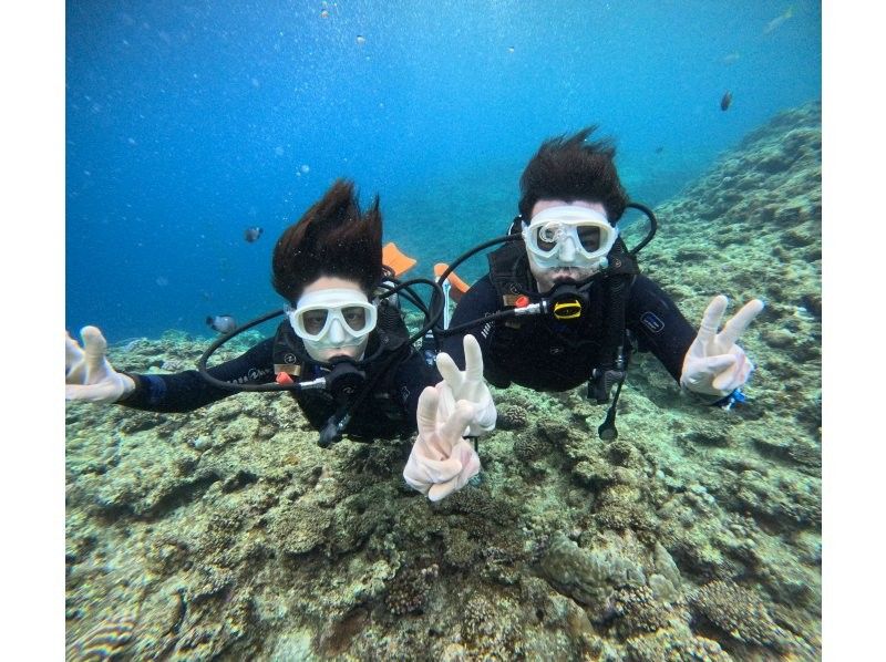 Diving Shop Lei のギャラリー