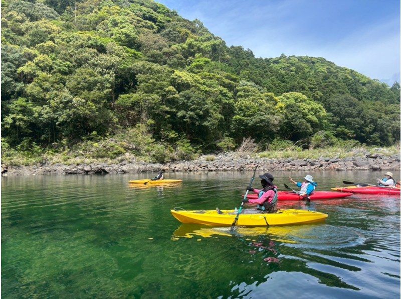 リバーカヤック 屋久島・カヤック】屋久島の澄んだ川で水上散歩しよう！大自然堪能