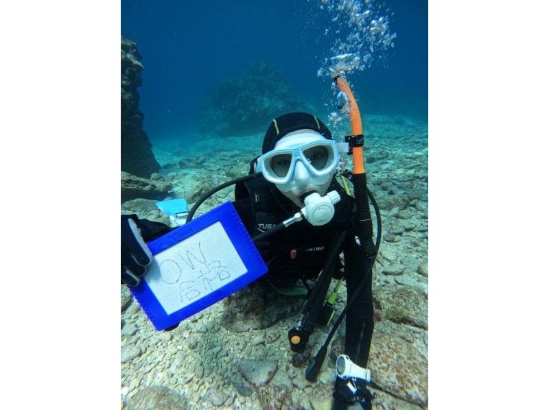 Y’S　DIVE　OKINAWA のギャラリー