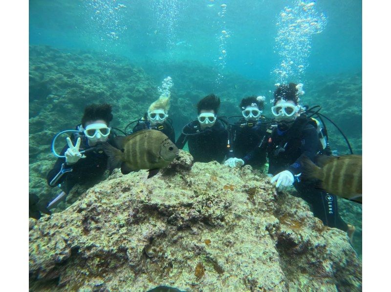 Diving Shop Lei のギャラリー