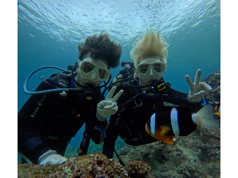 Diving Shop Lei のギャラリー