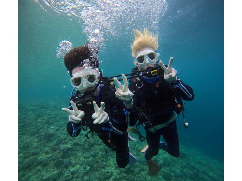 Diving Shop Lei のギャラリー
