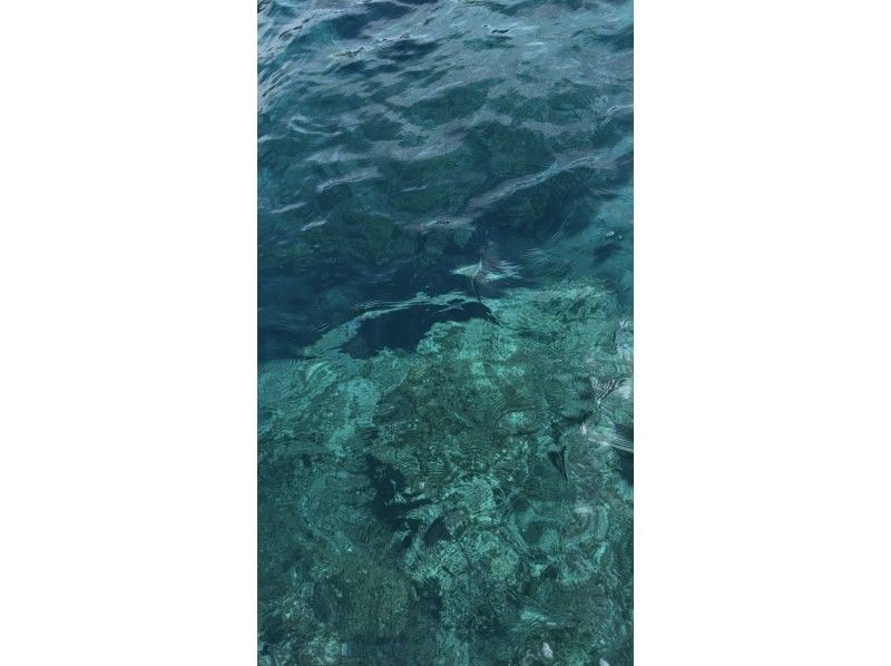 Sea HOPE のギャラリー